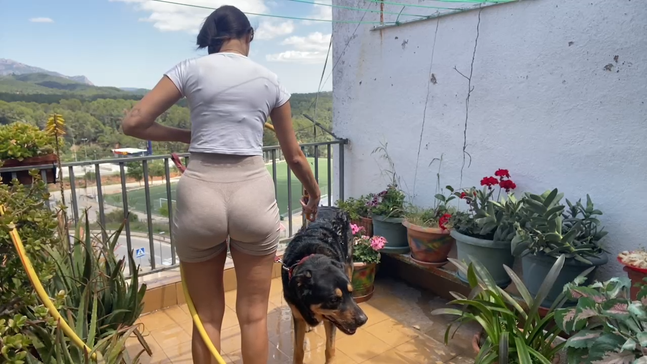 💦 🐶 LAVAMOS A TYSON _ !redes !*******.mp4_snapshot_00.34.506.png