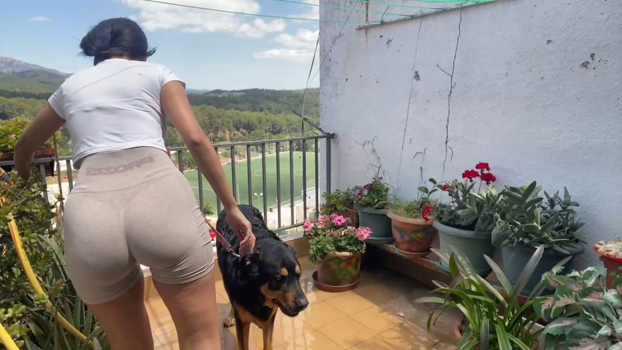 💦 🐶 LAVAMOS A TYSON _ !redes !*******.mp4_snapshot_01.13.270.png