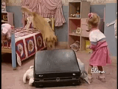 0ed1a3277a8564cef1a65d404d8098aee47cf664a87a76c3dfdd9a831a6ed701.gif