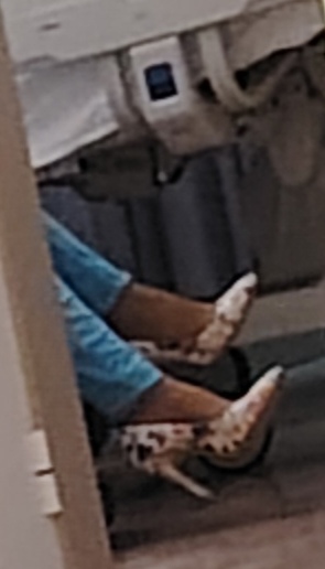 1000015803.jpg