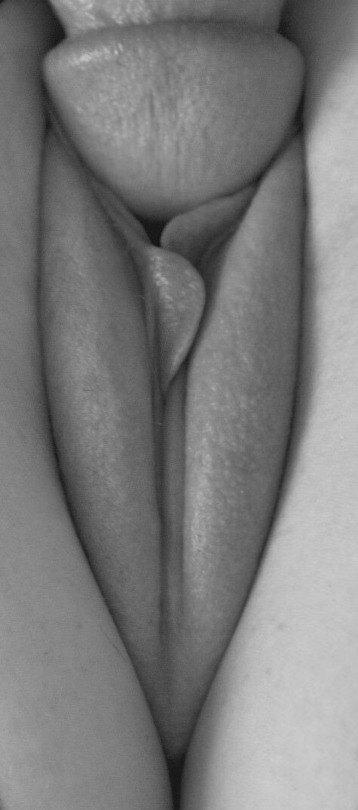 1000031778.jpg