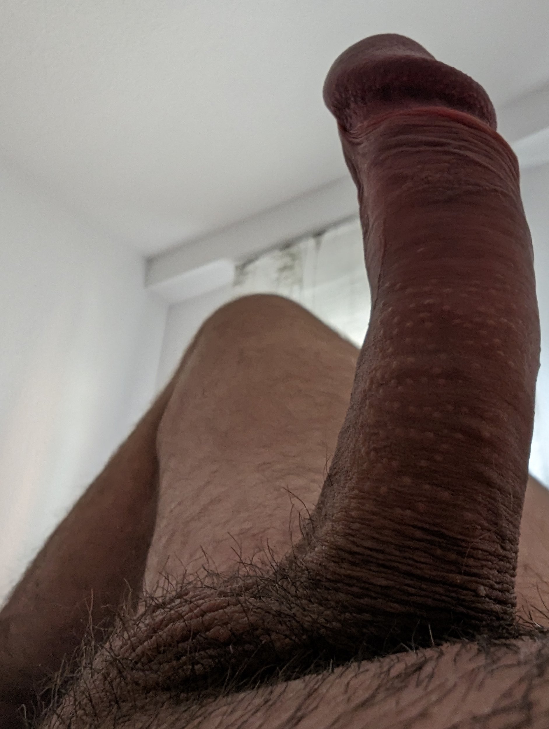 1000045951.jpg