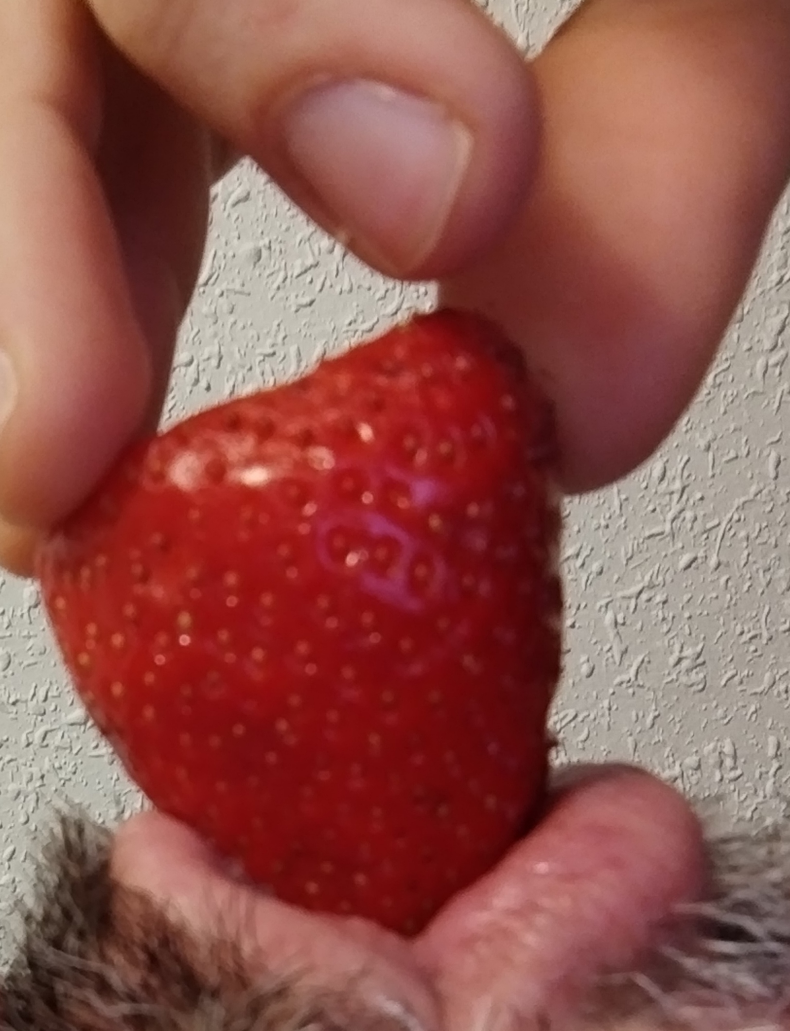 1000078526.jpg