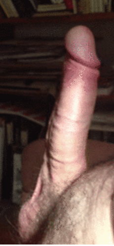 15329963_imageedit_43_3665904566.gif