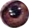 1710334477662.jpeg