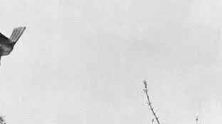 1710861115912.jpeg