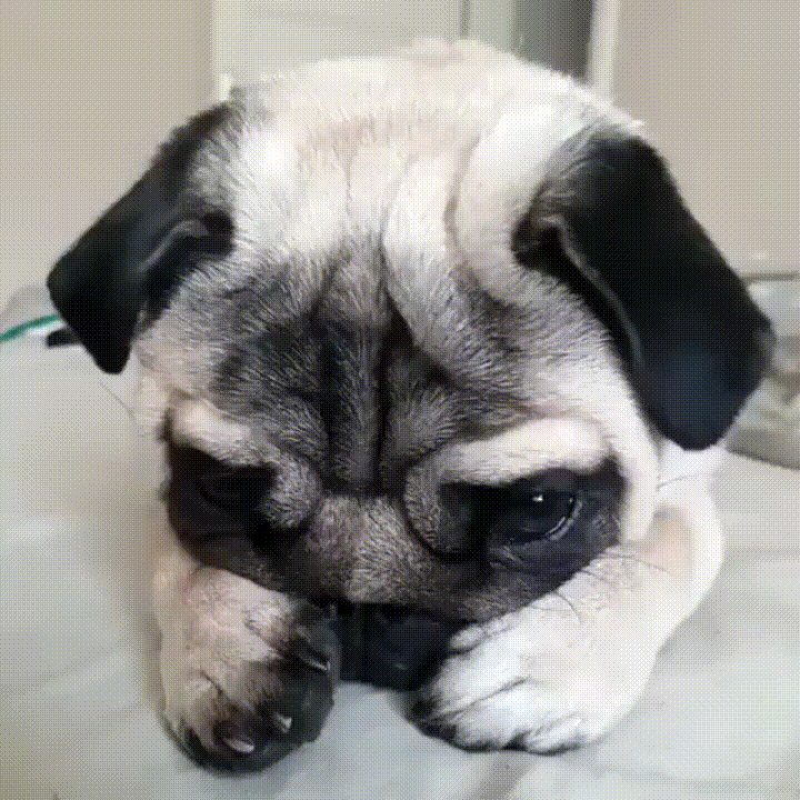 1713869714392.gif