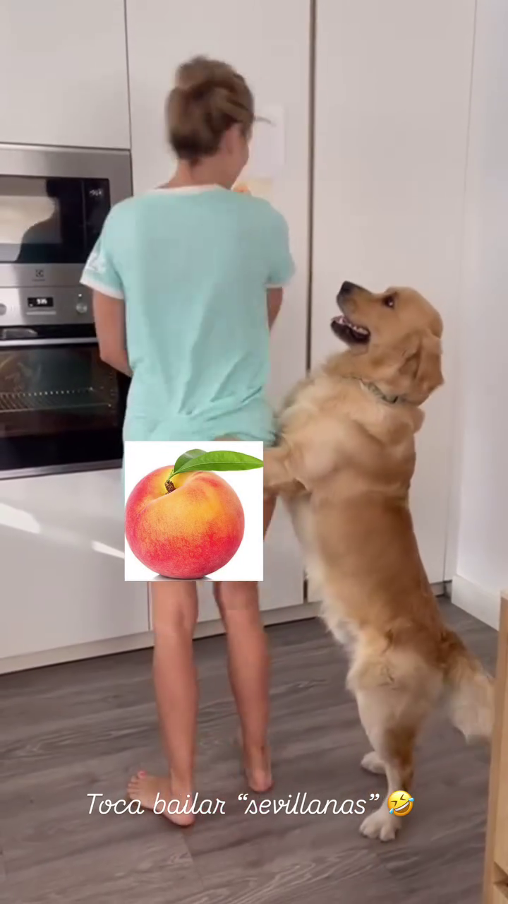 1754312514358.png