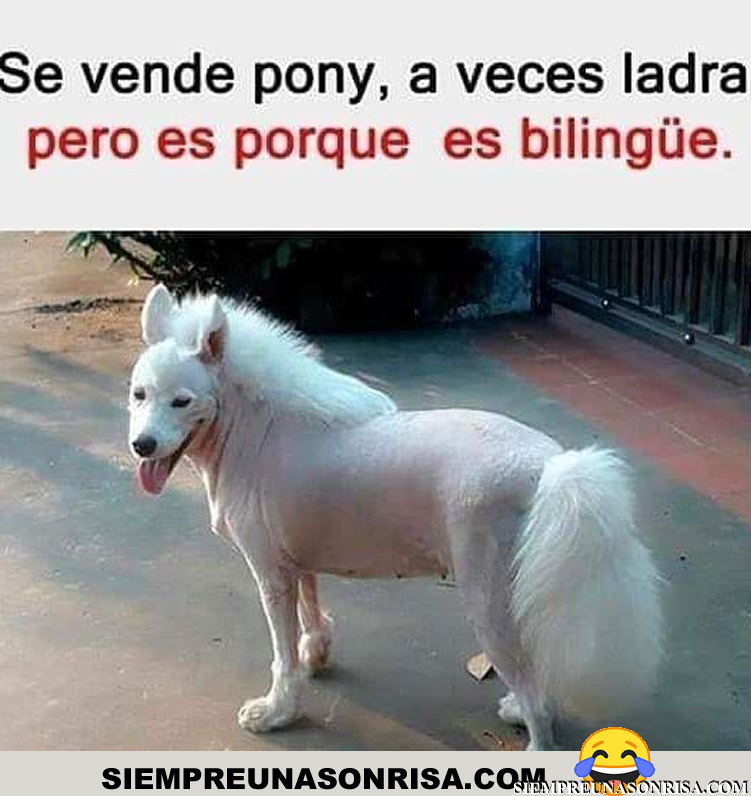 1755778187047.png