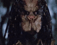 1756621346751.gif