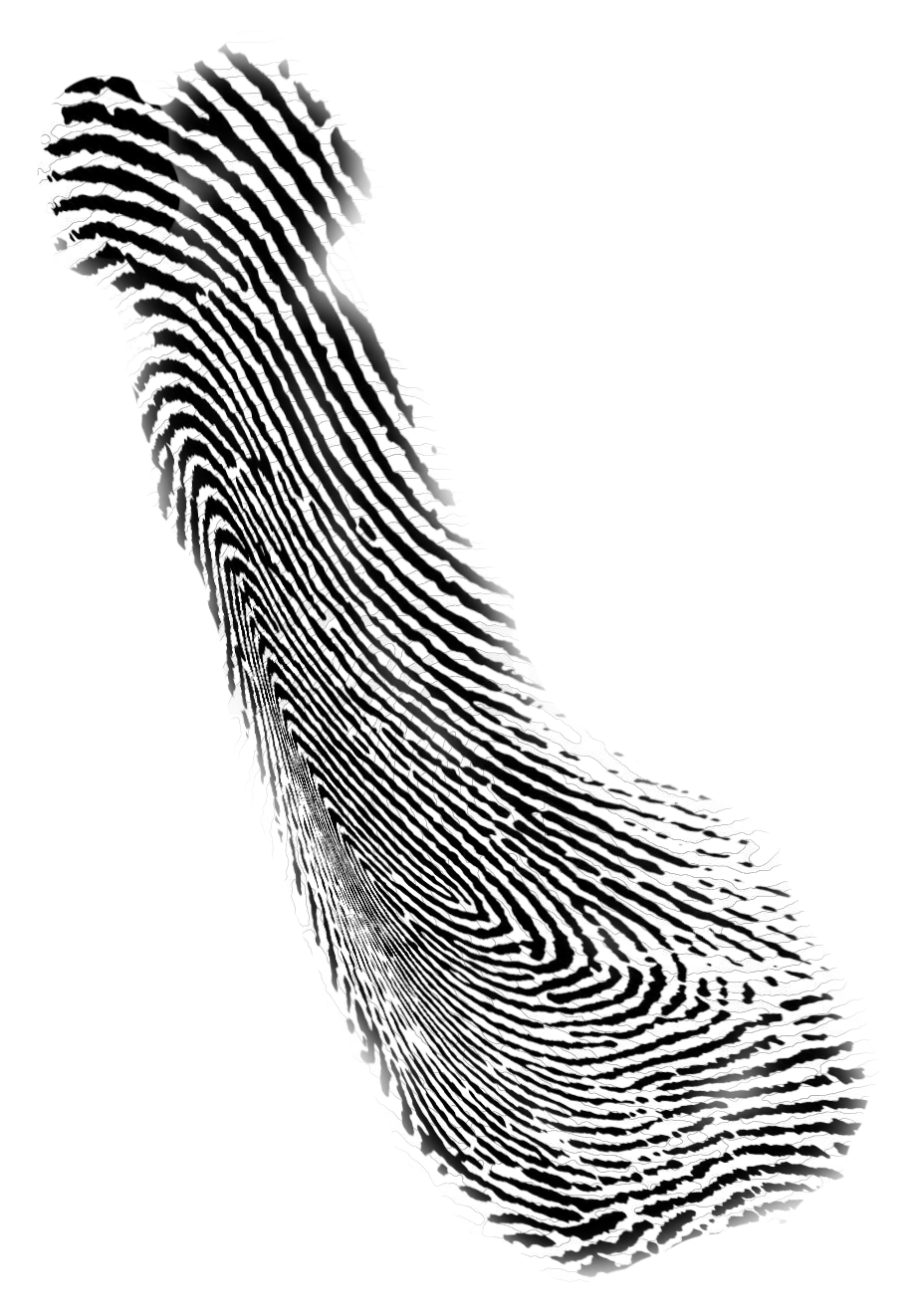 1757070727965.png