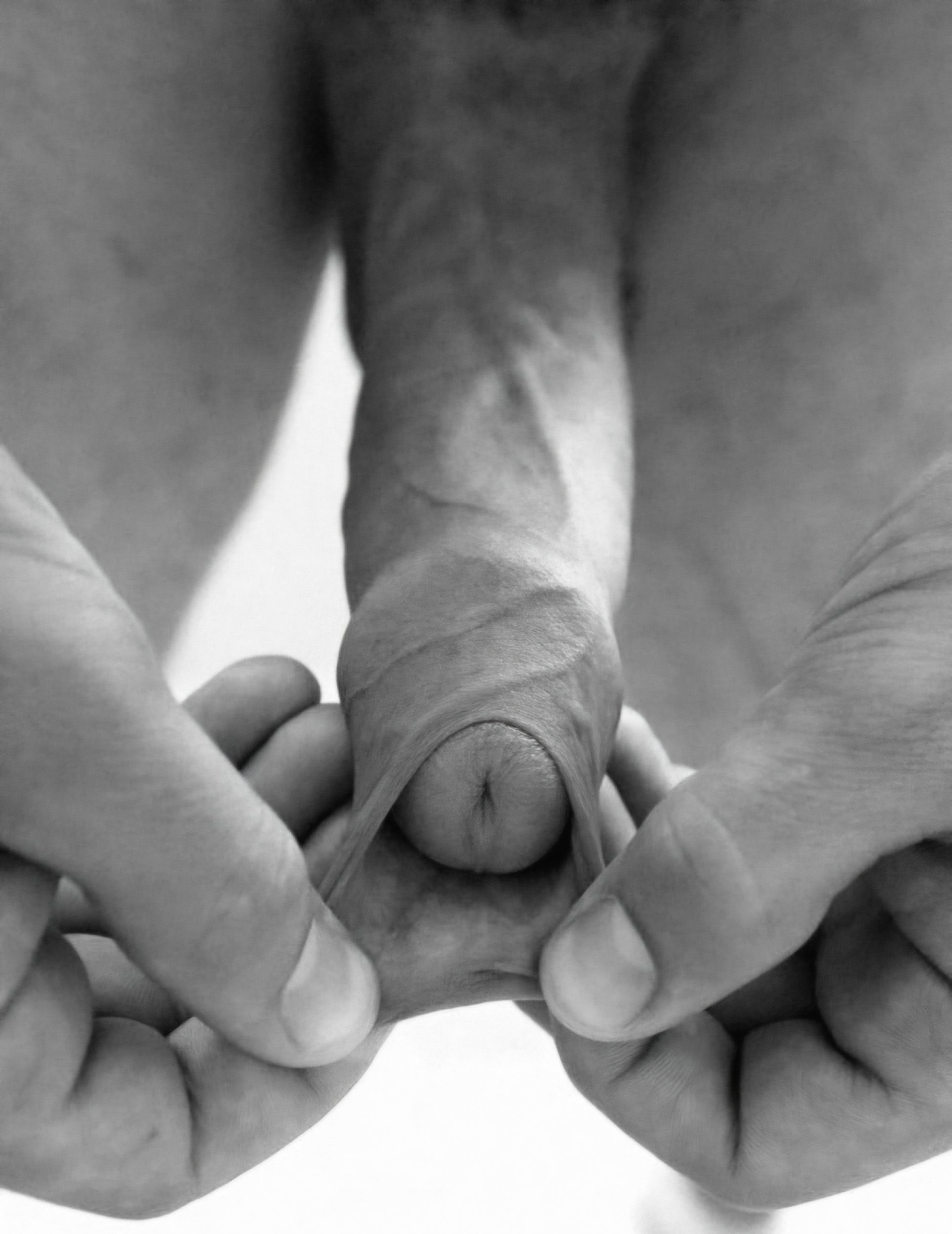 1763448547775 (1).jpeg