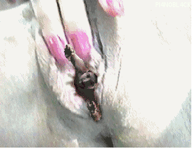 19.gif