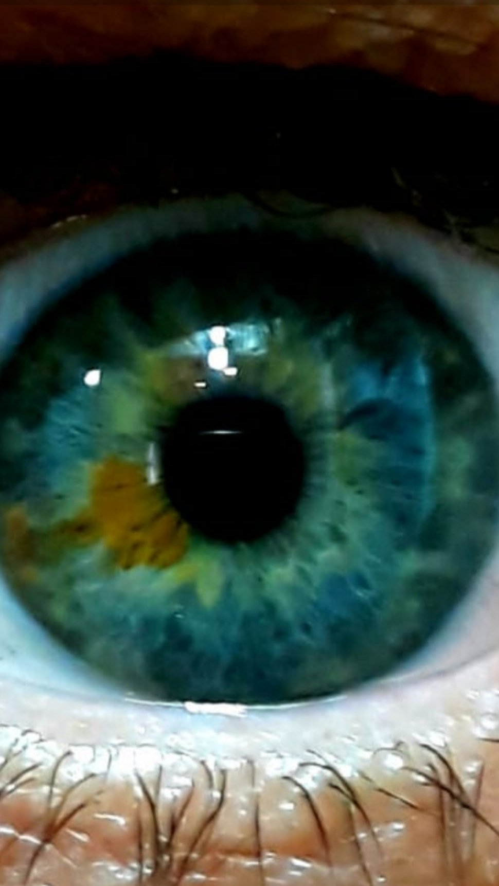 20200626_154954.jpg