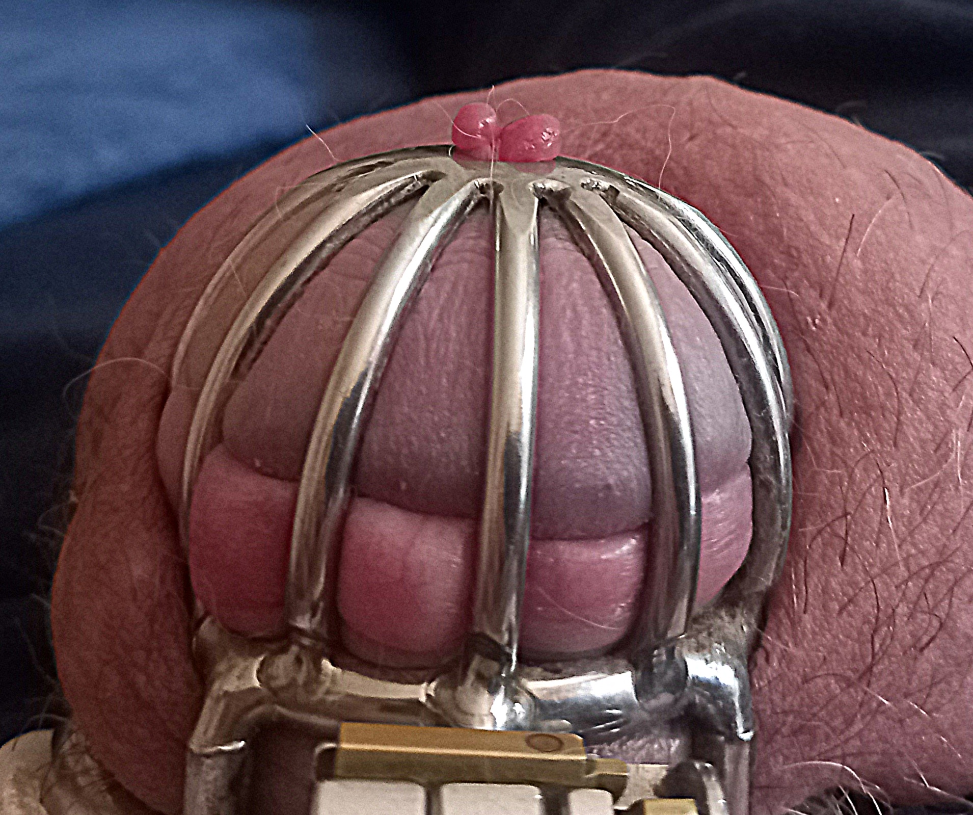 20241201_112358.jpg