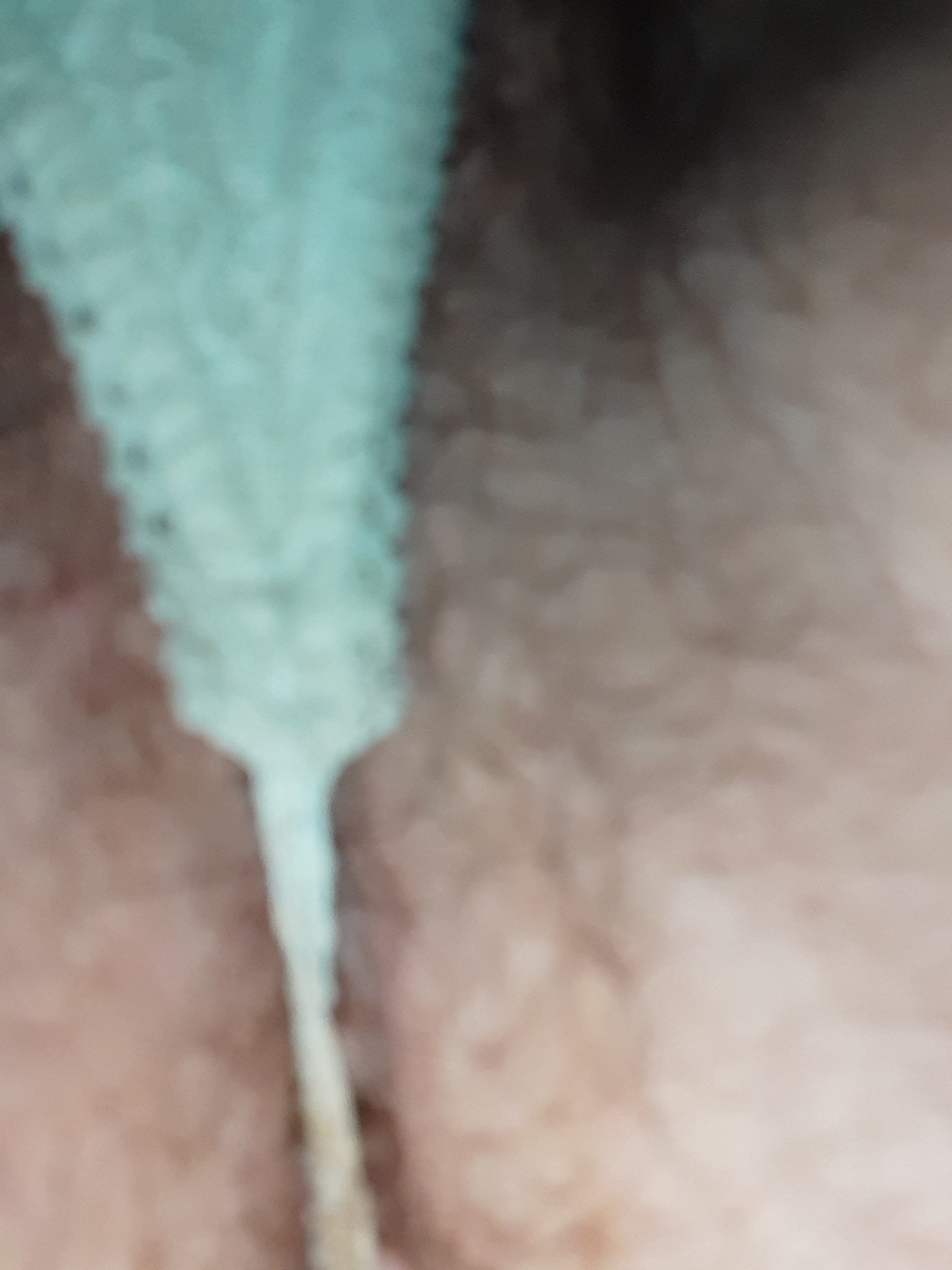 20241215_072102.jpg
