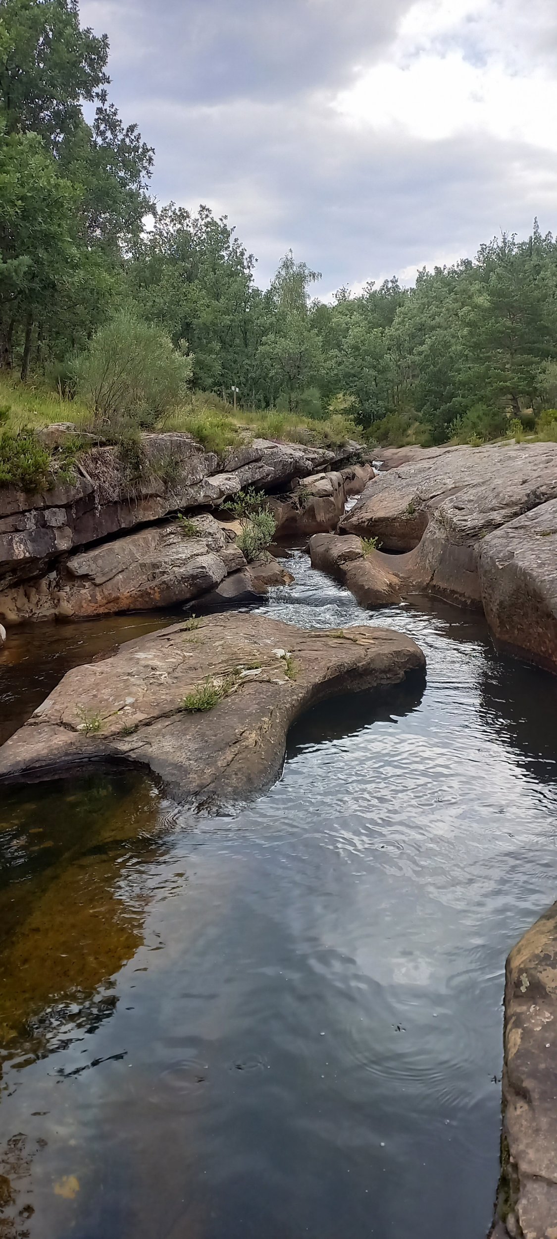 20250701_182002.jpg