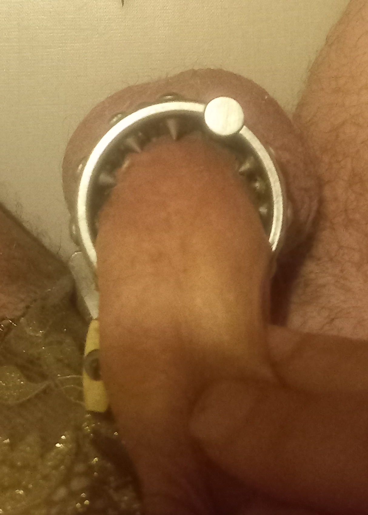 20250704_045918.jpg