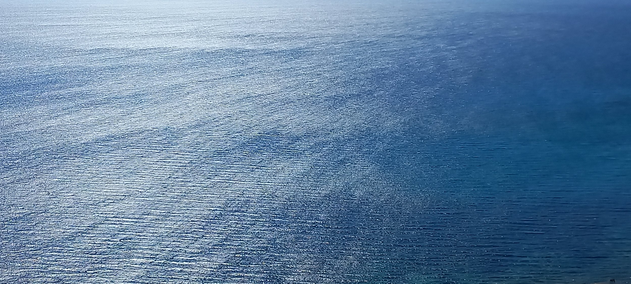 20250927_125249.jpg