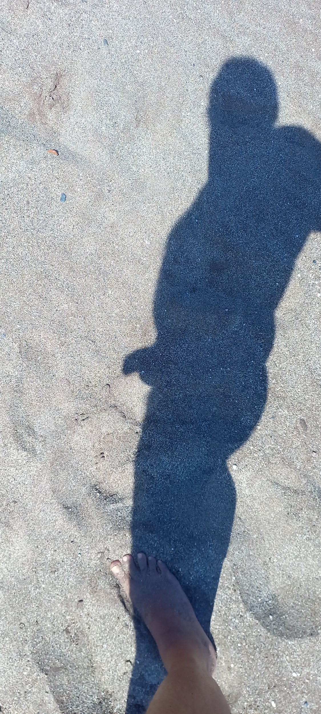 20250930_140902.jpg