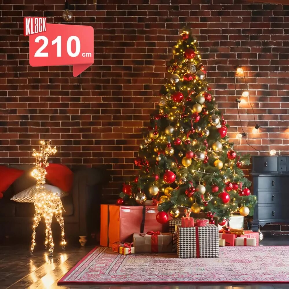 210.jpg