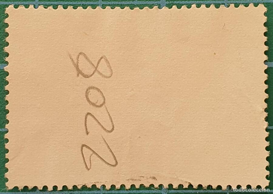 378388344_467019234(1).jpg