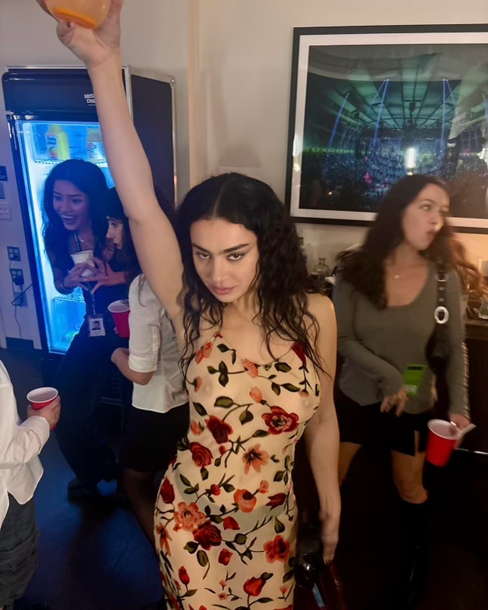 516074836_charlixcxaftapartyseethrough39.jpg