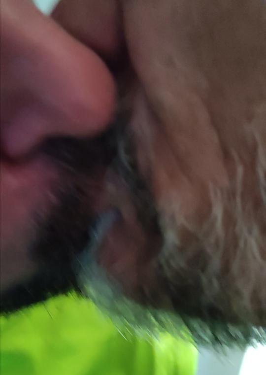 556821.jpg
