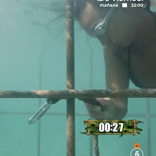 5e4981f211d06a3e2a5a296d3be32de2.gif