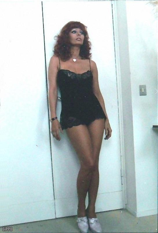 7668342_440588388_sophia_loren_pupa_del_gangster_1975__small_3__gippo_122_1158lo[1].jpg
