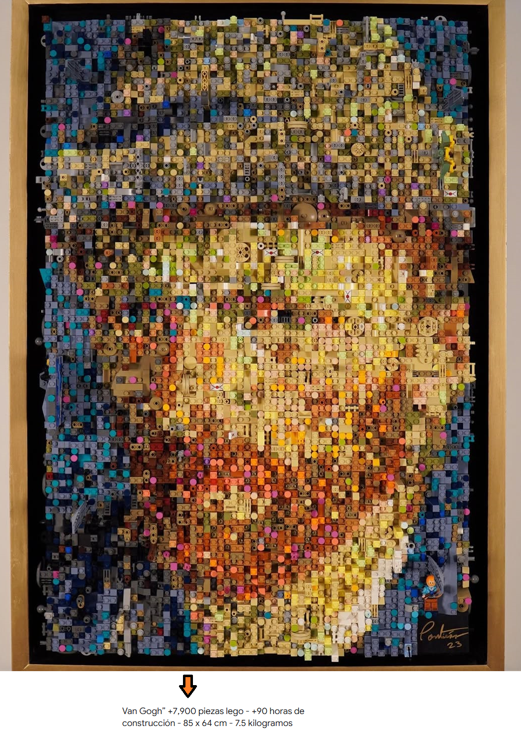 7900.png