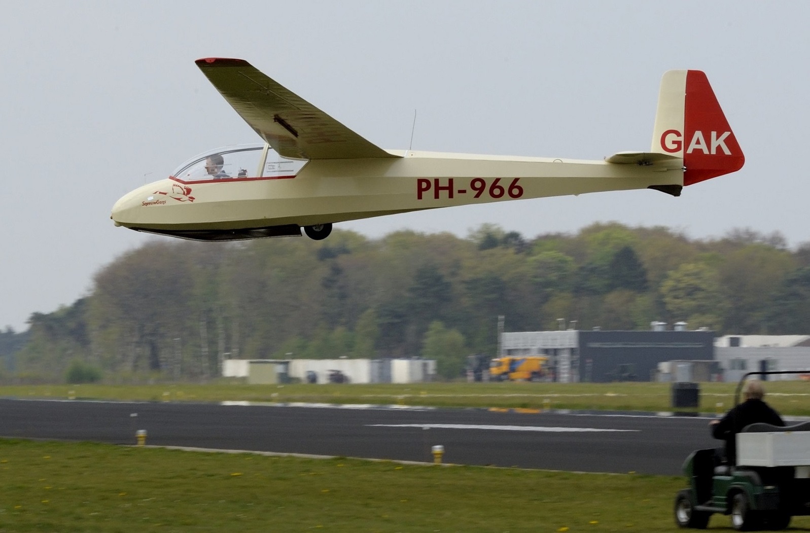 966.jpg