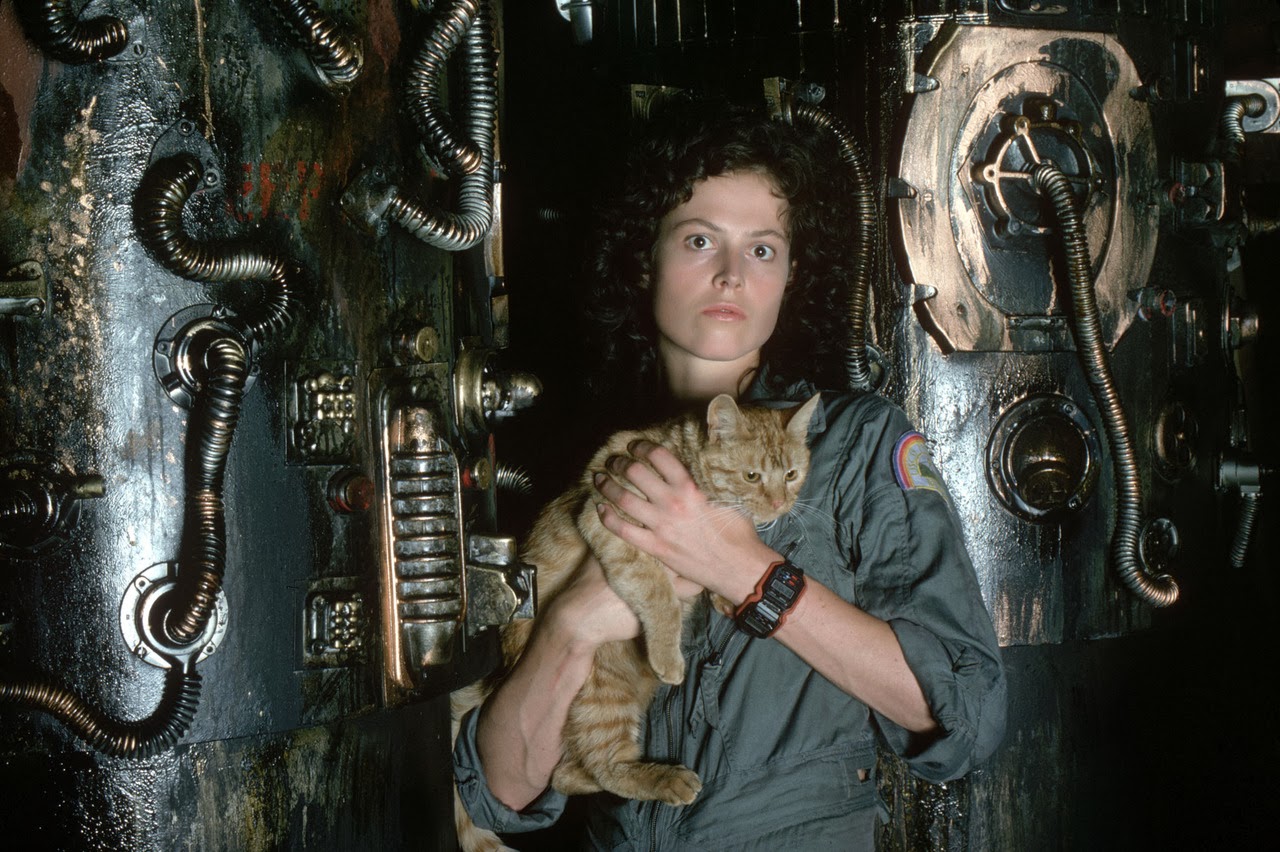 Allien Ellen Ripley Cat.jpg