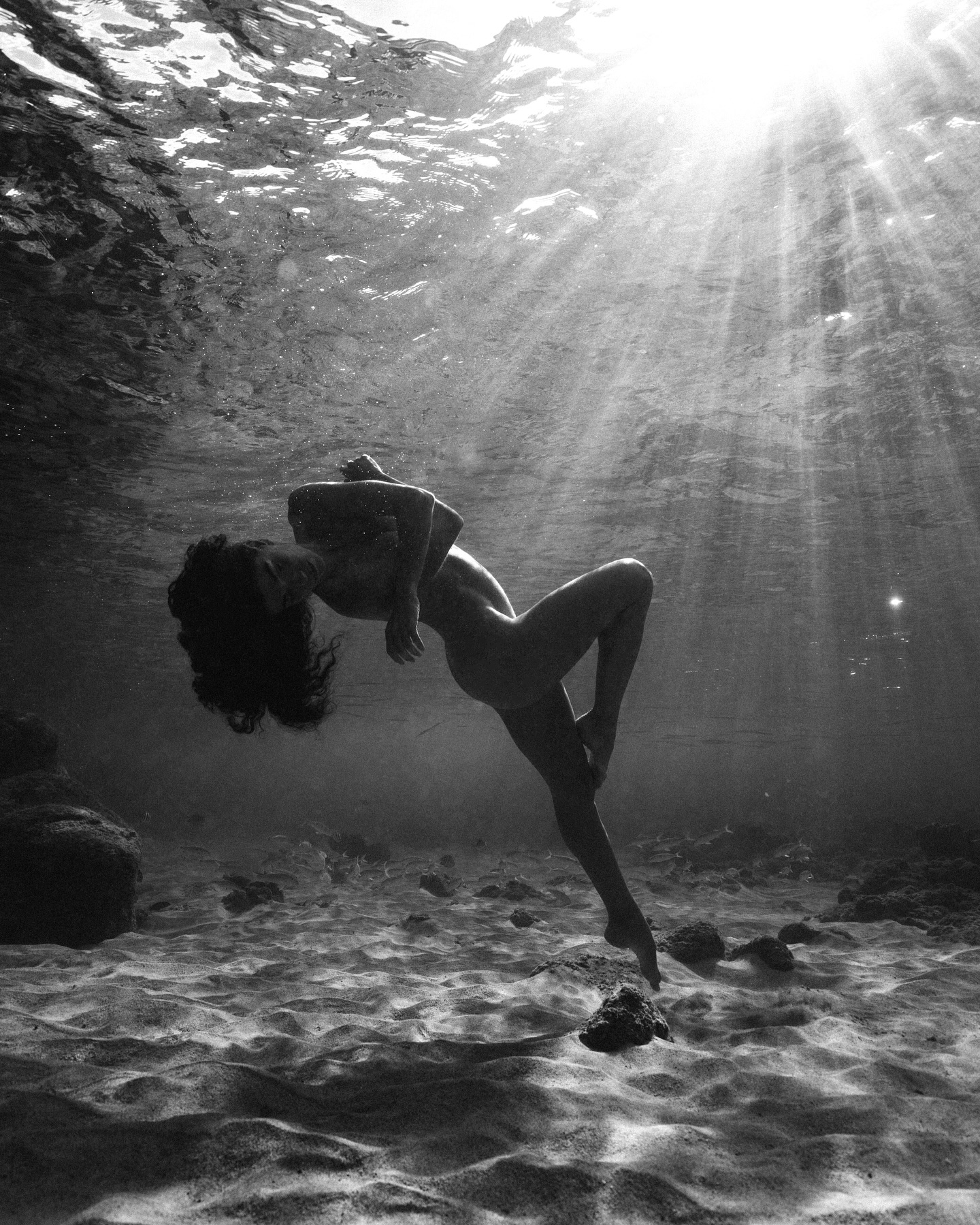 ariadna_hafez 491460704_18500897431027696_5168882286371551208_n.jpg