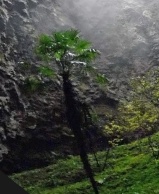 atrabajar.jpg