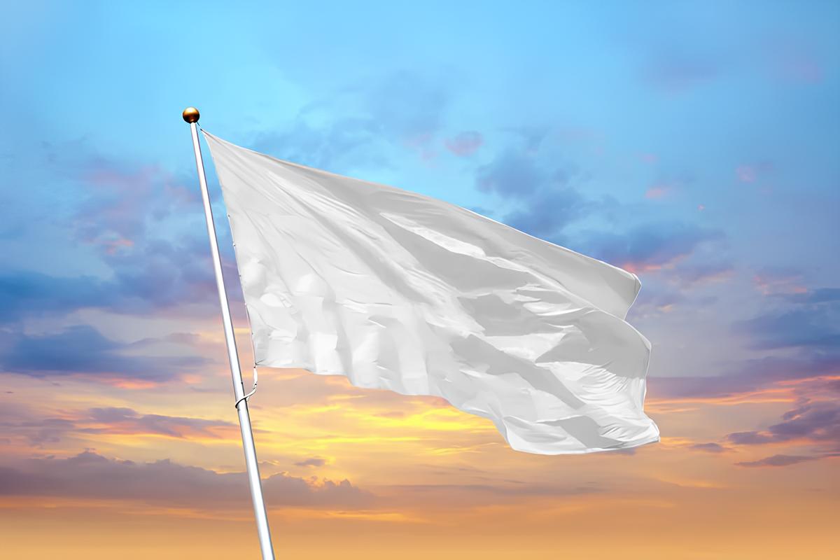 Bandera BLANCA.jpg