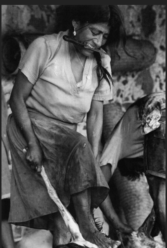 Captura de pantalla (1437).png