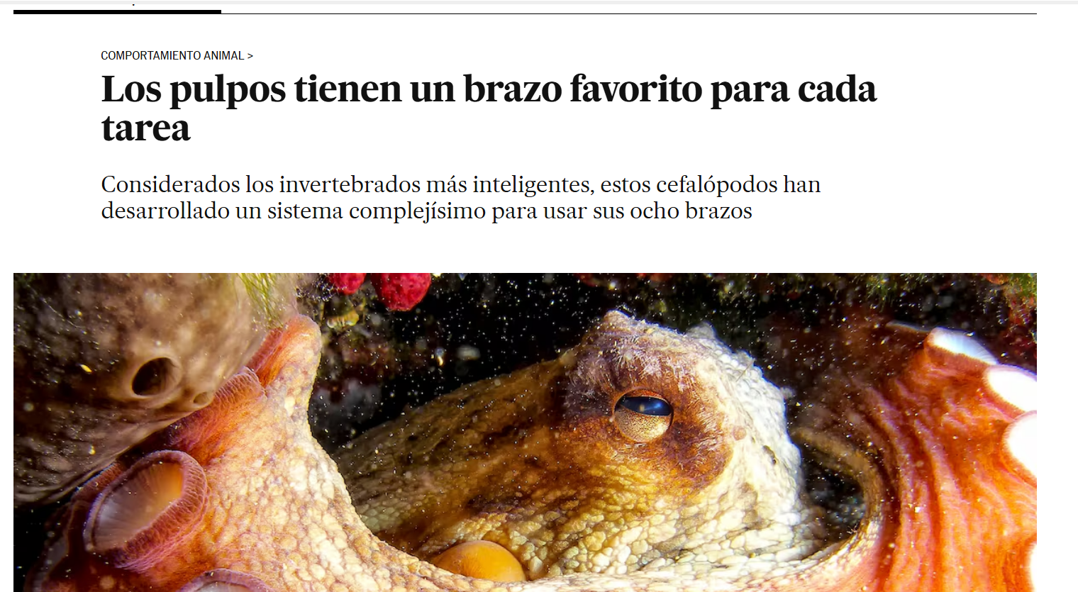 Captura de pantalla (1476).png