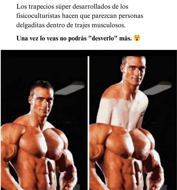 CC_2809762_c4bfde2e0f334703ab196810e420d58d_meme_otros_ya_no_los_veras_igual.jpg