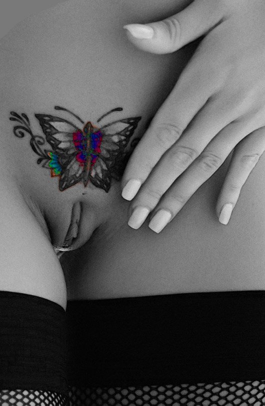 cd36fd5591bb69852f37.jpg