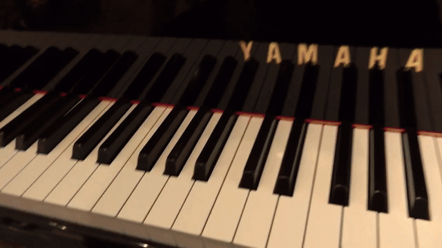 danawdel tordable's Video - Oct 25, 2024-VEED (13).gif