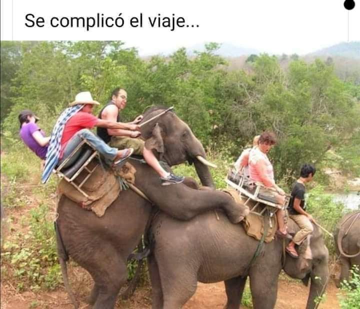 FB_IMG_1715789626769.jpg