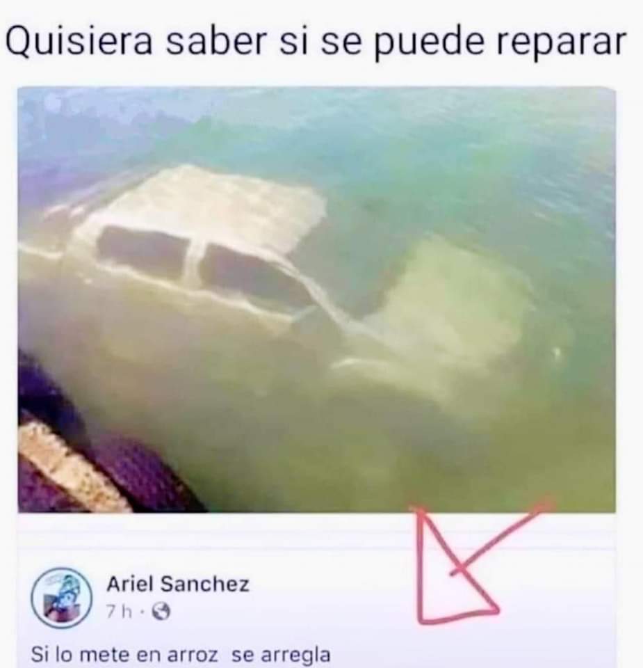 FB_IMG_1719388576393.jpg