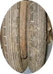 frg486.jpg