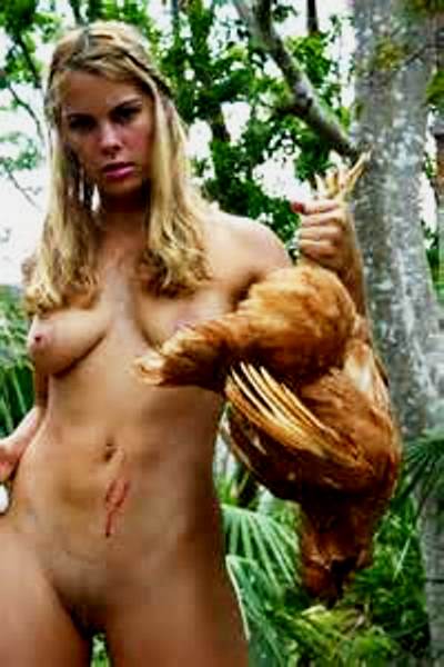 gallina0.jpg
