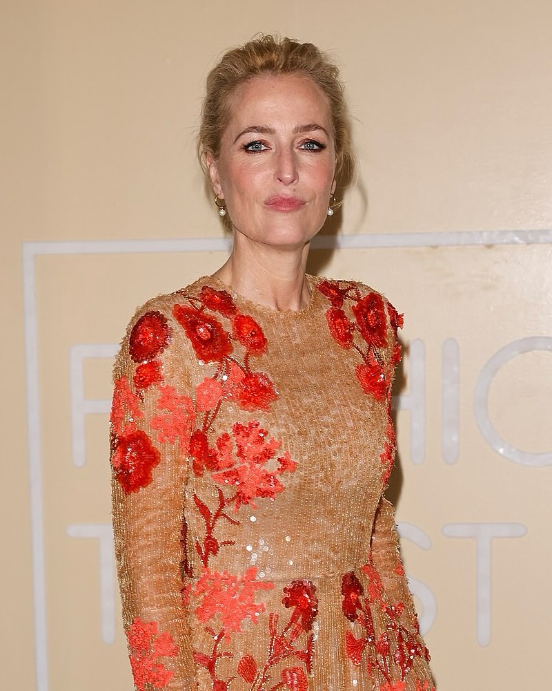 gillian_scully_fan__2025-04-22T152412.000Z_1.jpg