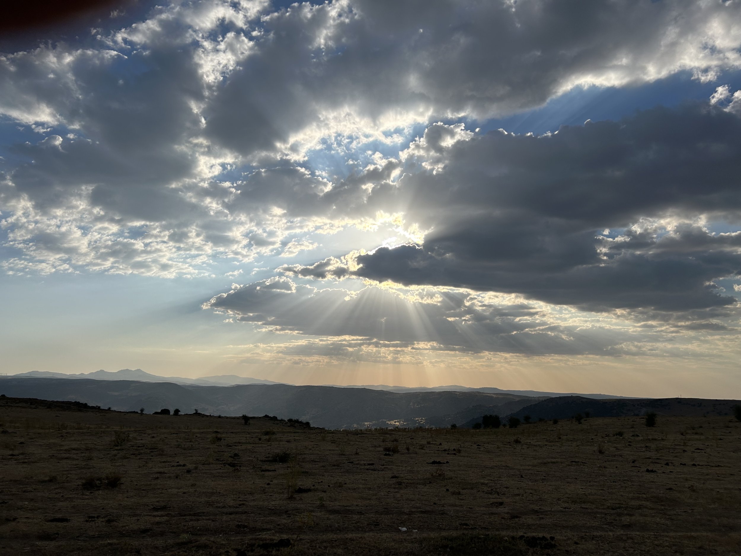 IMG_1713.jpeg