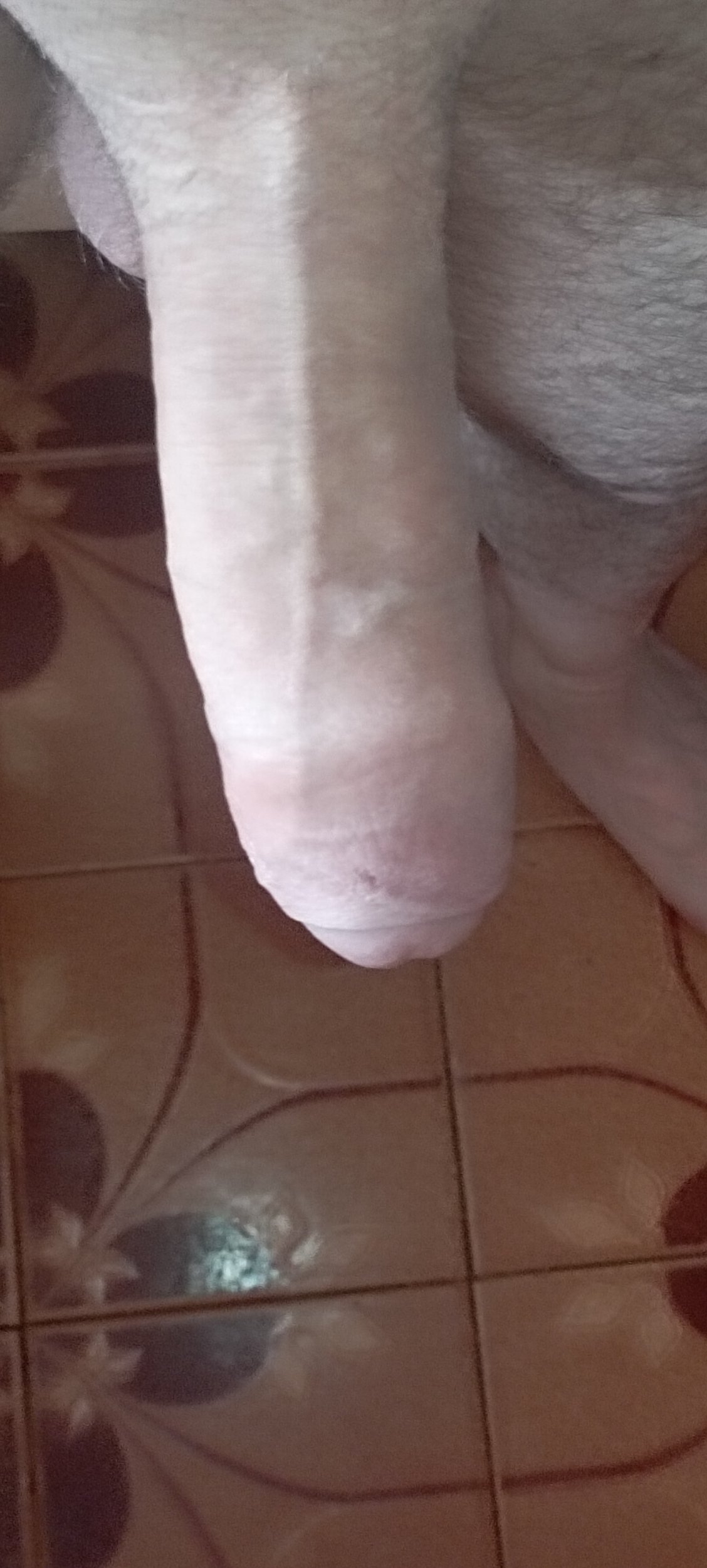 IMG_20240819_152909.jpg