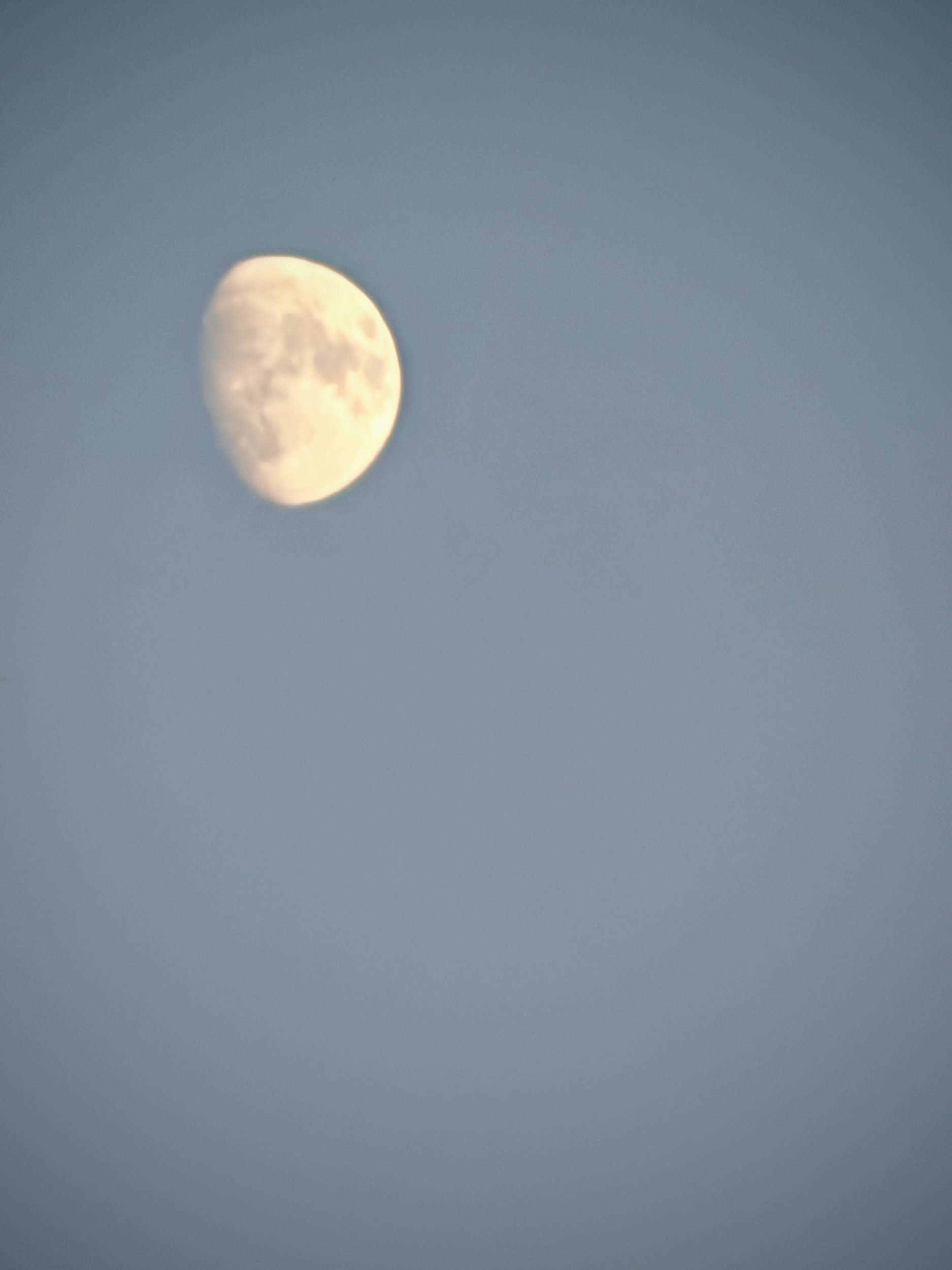 IMG_20250804_210735.jpg