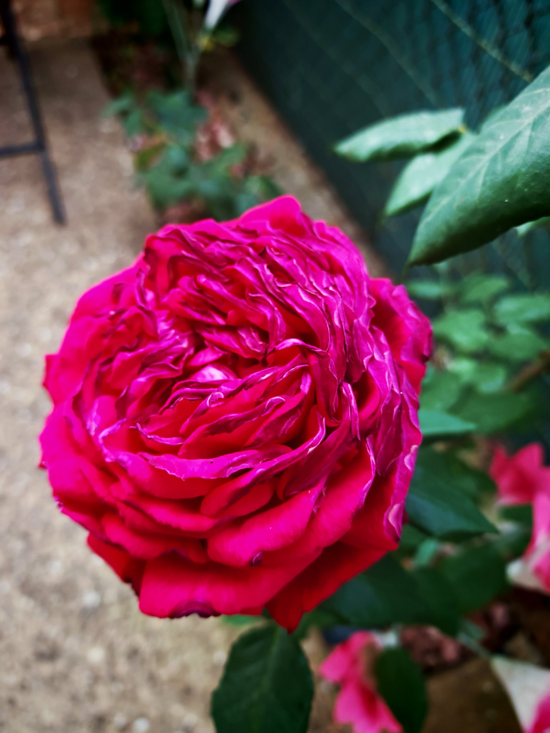 IMG_20250809_211256.jpg